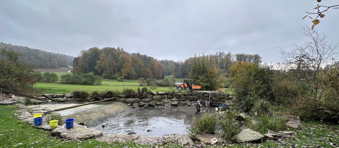 Naturschutzweiher2